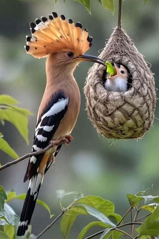 Awesome Pictures You Shouldn’t Miss #163 (25 photos)