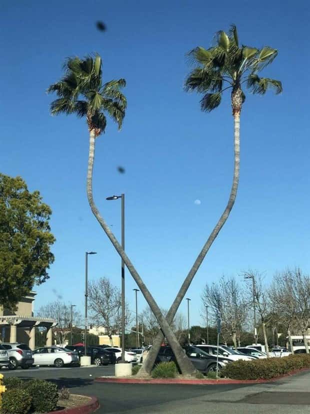 Awesome Pictures You Shouldn’t Miss #163 (25 photos)