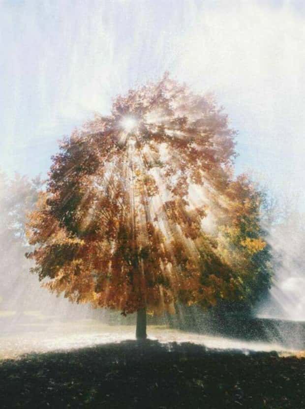 Awesome Pictures You Shouldn’t Miss #163 (25 photos)