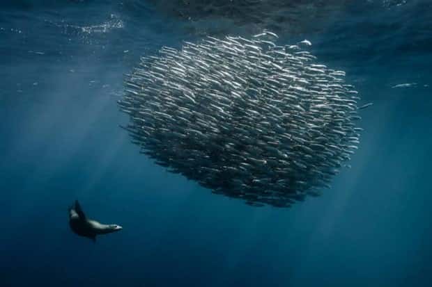 Awesome Pictures You Shouldn’t Miss #163 (25 photos)