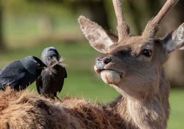 Awesome Pictures You Shouldn’t Miss #163 (25 photos)