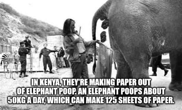 Cool and Interesting Facts #439 (22 photos)