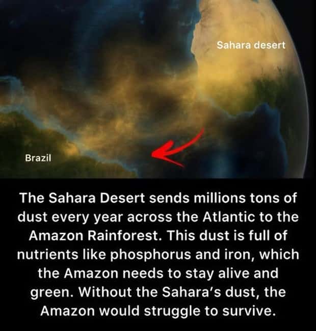 Cool and Interesting Facts #439 (22 photos)