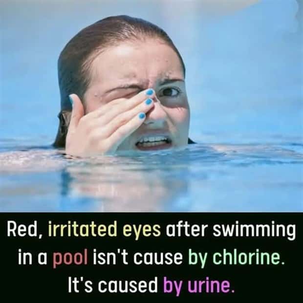 Cool and Interesting Facts #439 (22 photos)