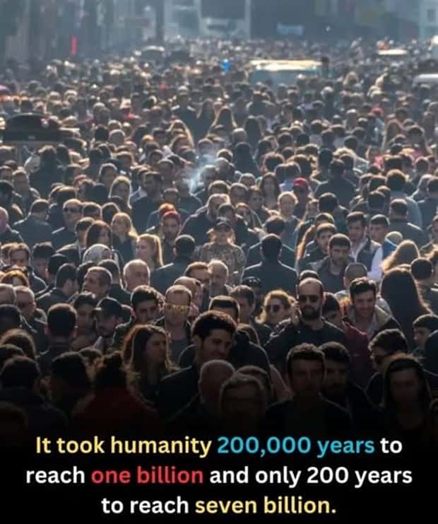 Cool and Interesting Facts #439 (22 photos)