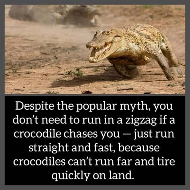 Cool and Interesting Facts #440 (25 photos)