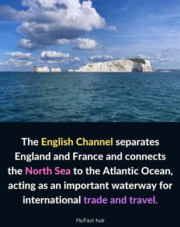 Cool and Interesting Facts #440 (25 photos)