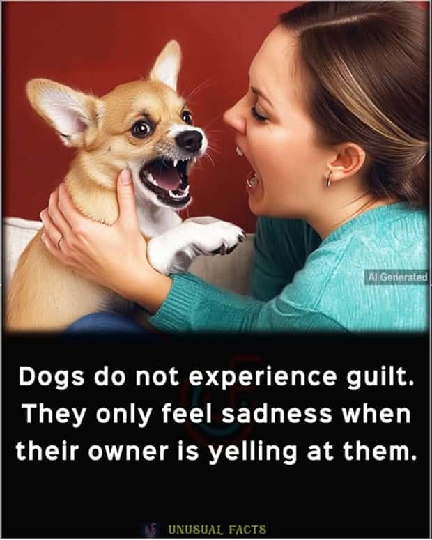 Cool and Interesting Facts #440 (25 photos)