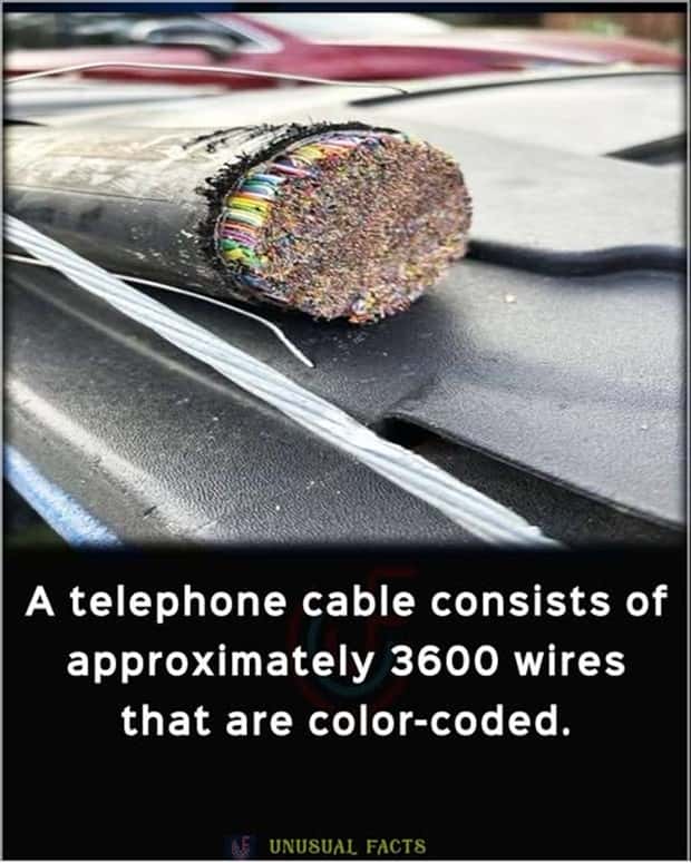 Cool and Interesting Facts #440 (25 photos)