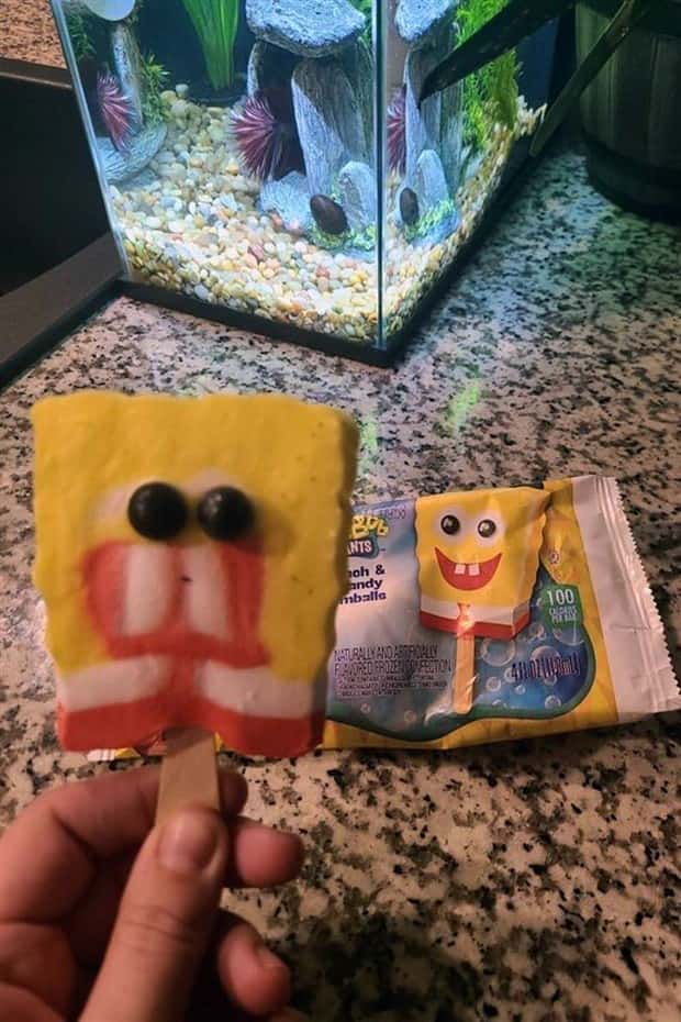 Deceptive Packaging Wins, We Lose Again (23 photos)