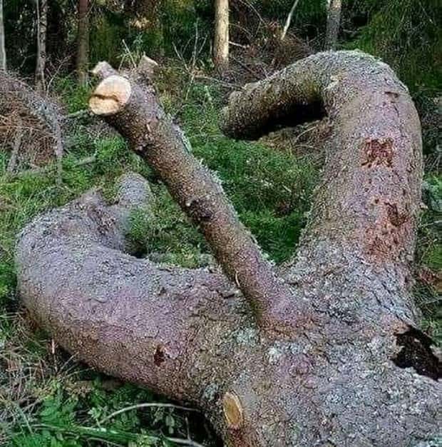 Put Your Dirty Mind to the Test #85 (23 photos)