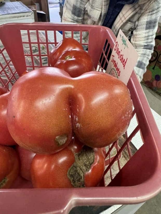 Put Your Dirty Mind to the Test #85 (23 photos)
