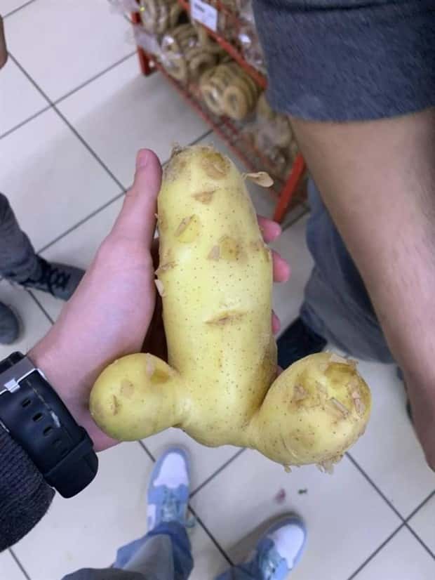 Put Your Dirty Mind to the Test #85 (23 photos)