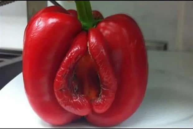 Put Your Dirty Mind to the Test #85 (23 photos)