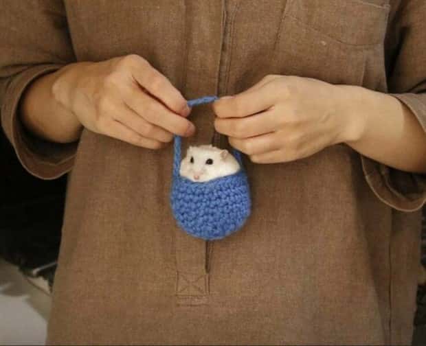 Get Ready for Funny Animals #394 (25 photos)