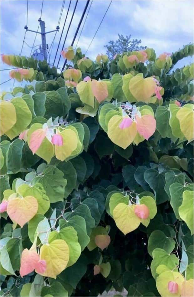 Funny Reality Fails That Feel Like Glitches (23 photos)