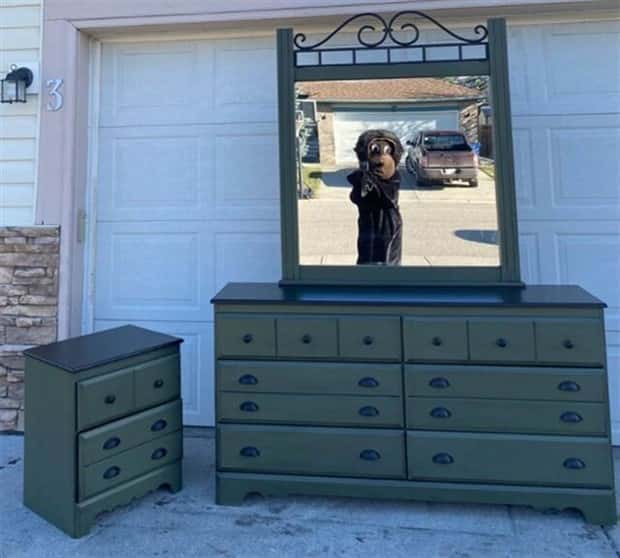 invisible mirror sellers 11 Invisible Mirror Sellers Strike Again (23 photos)