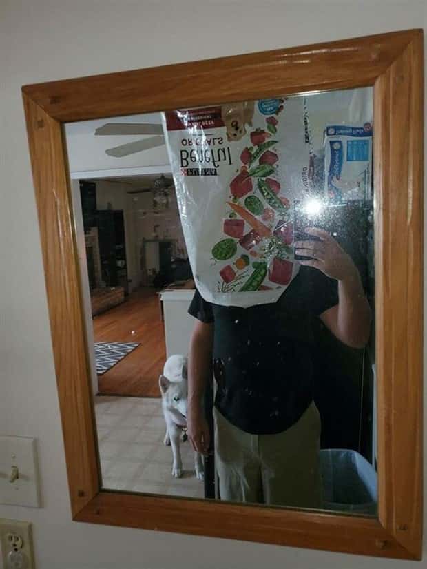 invisible mirror sellers 19 Invisible Mirror Sellers Strike Again (23 photos)