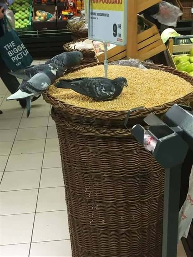 Klyker Picdump #1765 (45 photos)