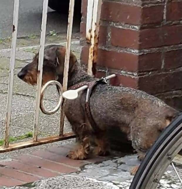 Klyker Picdump #1766 (41 photos)