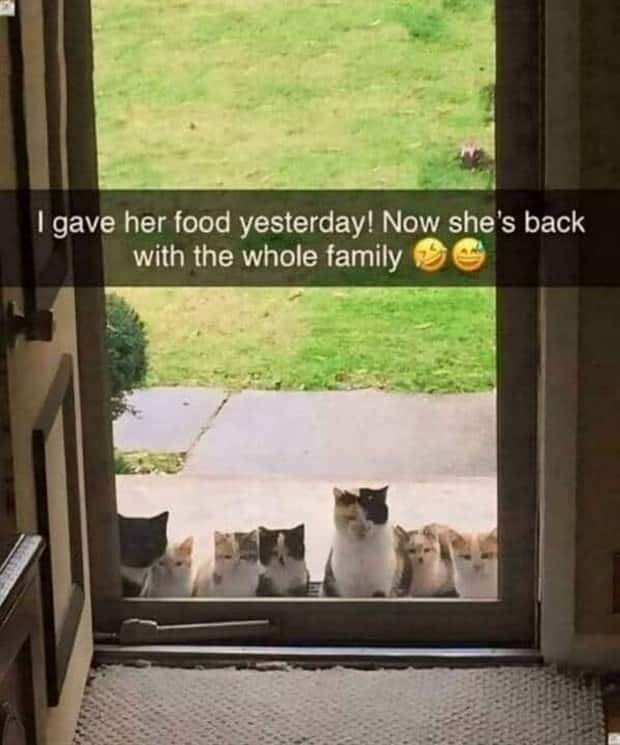 Klyker Picdump #1766 (41 photos)