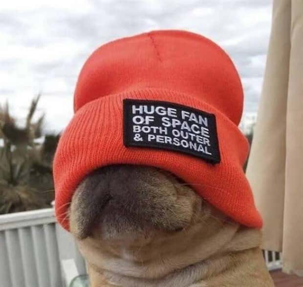 Klyker Picdump #1766 (41 photos)