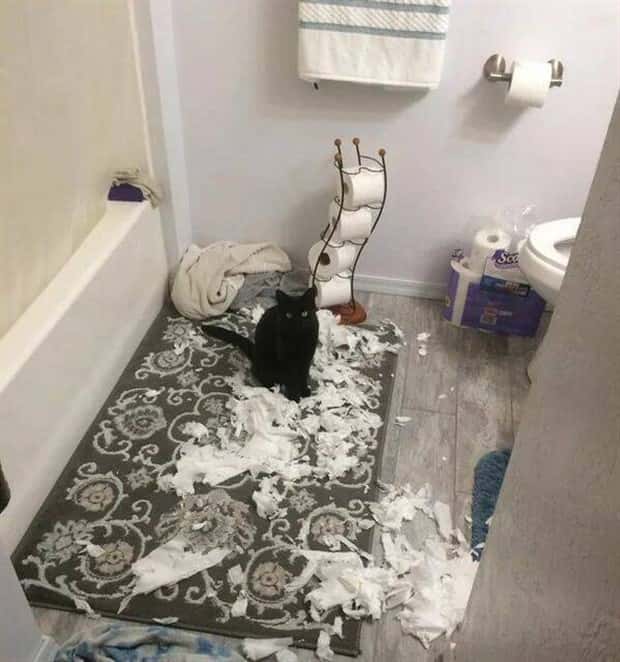 Klyker Picdump #1766 (41 photos)