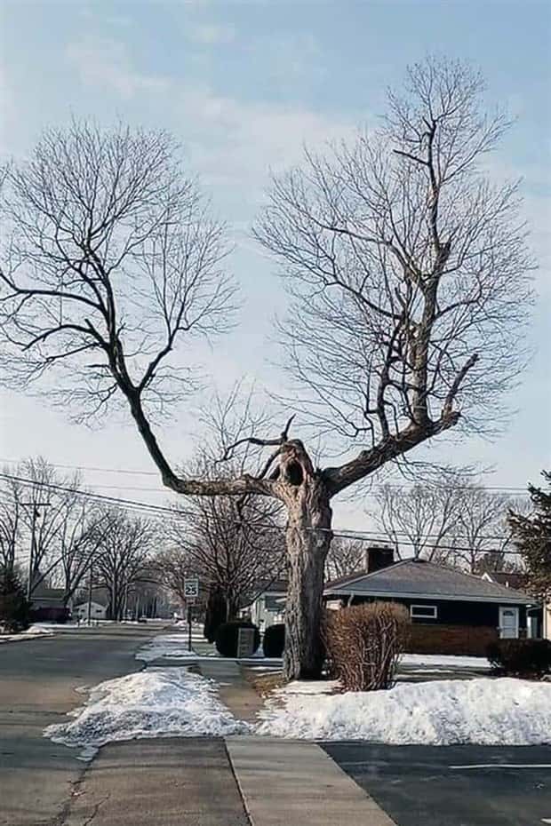 Klyker Picdump #1767 (42 photos)