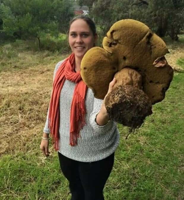 Klyker Picdump #1767 (42 photos)