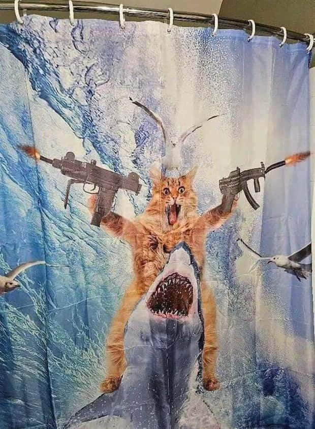 Klyker Picdump #1767 (42 photos)