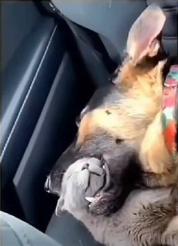 Klyker Picdump #1767 (42 photos)