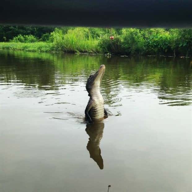 Klyker Picdump #1767 (42 photos)