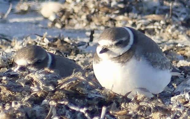 Klyker Picdump #1769 (44 photos)