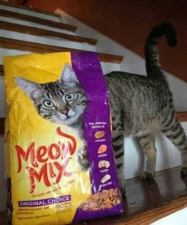 Klyker Picdump #1769 (44 photos)