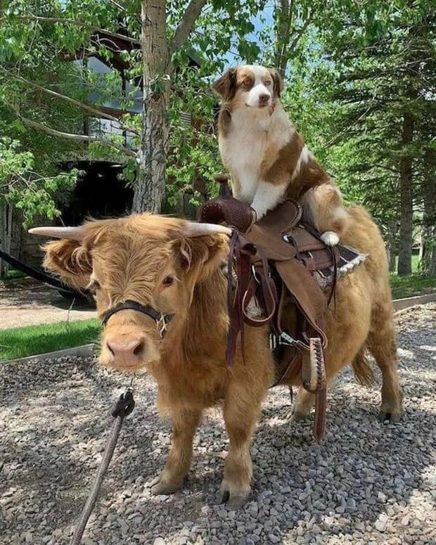 Klyker Picdump #1772 (42 photos)