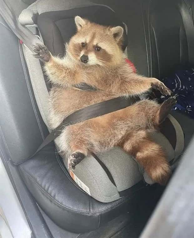 Klyker Picdump #1772 (42 photos)