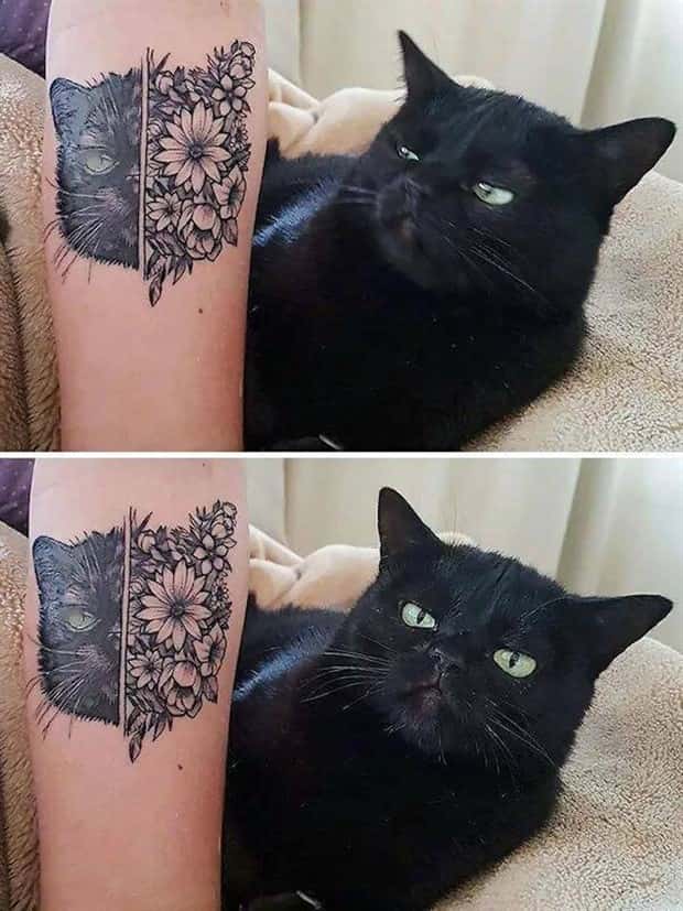 Klyker Picdump #1773 (43 photos)