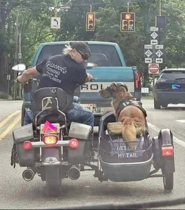 Klyker Picdump #1773 (43 photos)