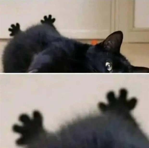 Klyker Picdump #1773 (43 photos)