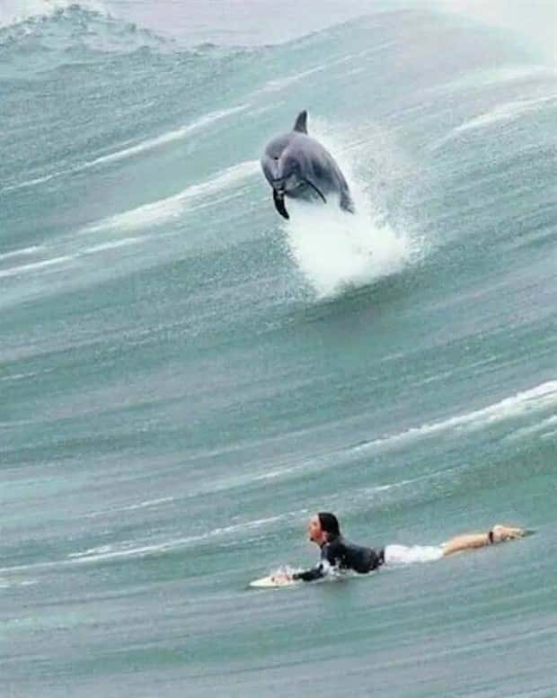 Klyker Picdump #1773 (43 photos)