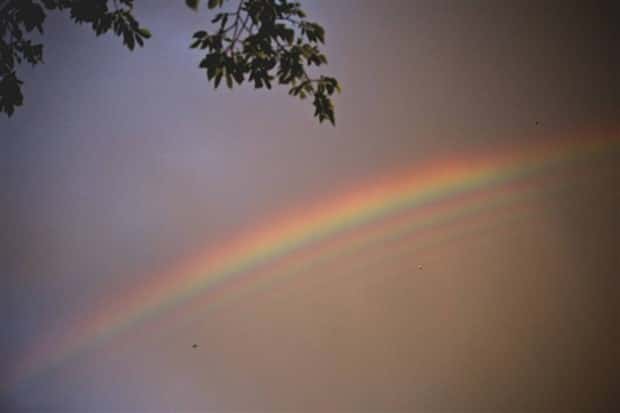 Klyker Picdump #1773 (43 photos)