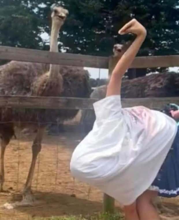 Klyker Picdump #1776 (41 photos)