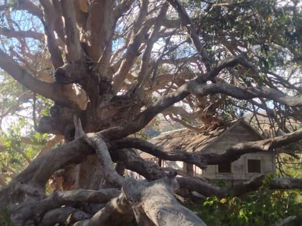 Klyker Picdump #1776 (41 photos)