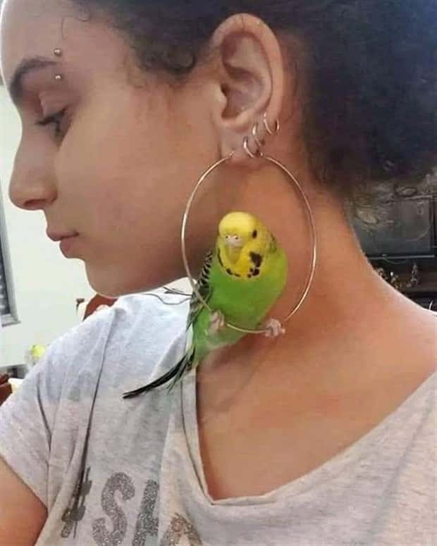 Klyker Picdump #1777 (42 photos)