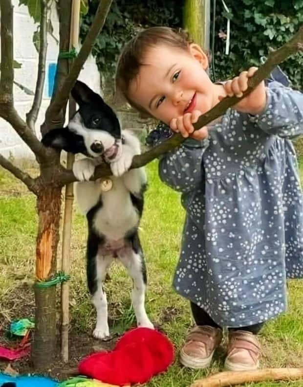 Klyker Picdump #1777 (42 photos)