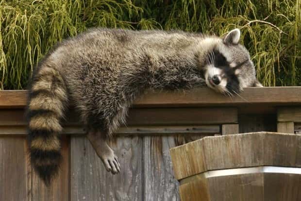 Klyker Picdump #1777 (42 photos)