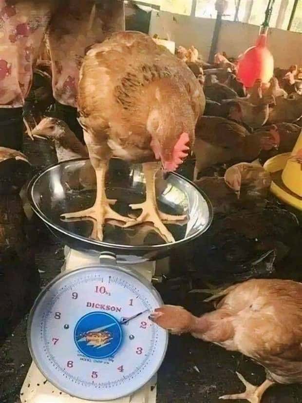 Klyker Picdump #1777 (42 photos)