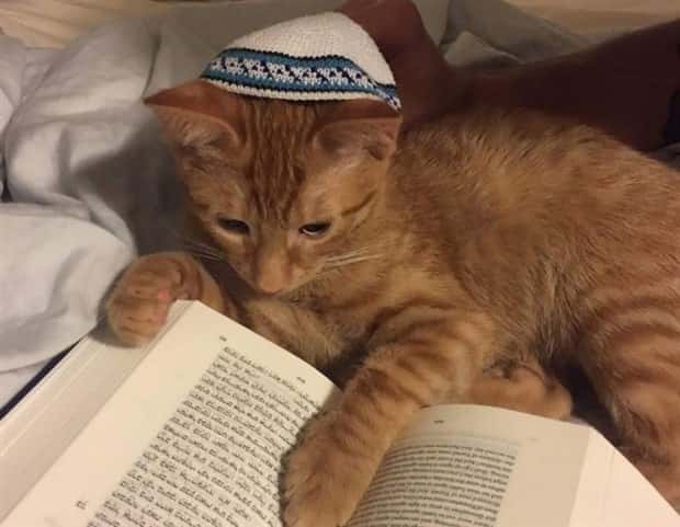 Klyker Picdump #1777 (42 photos)