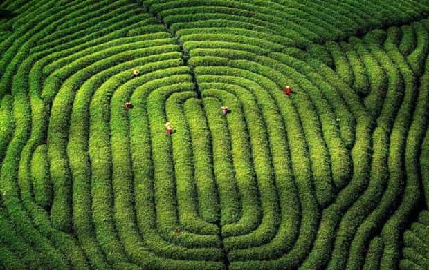 Klyker Picdump #1778 (43 photos)