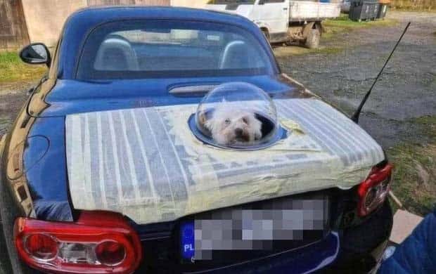 Klyker Picdump #1778 (43 photos)